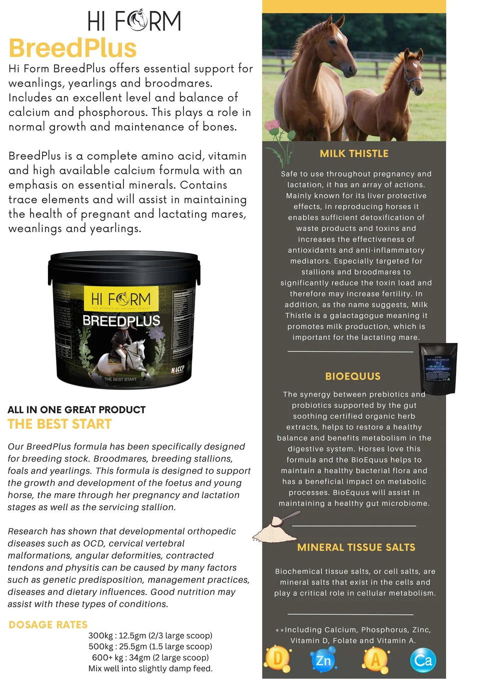 Hi Form BreedPlus