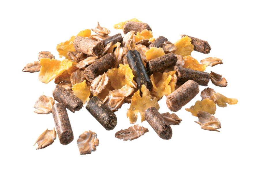 Pavo Cerevit