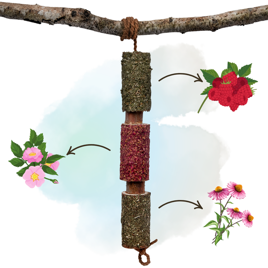 IMMUNITY - Urtebaseret trætyggelegetøj til heste