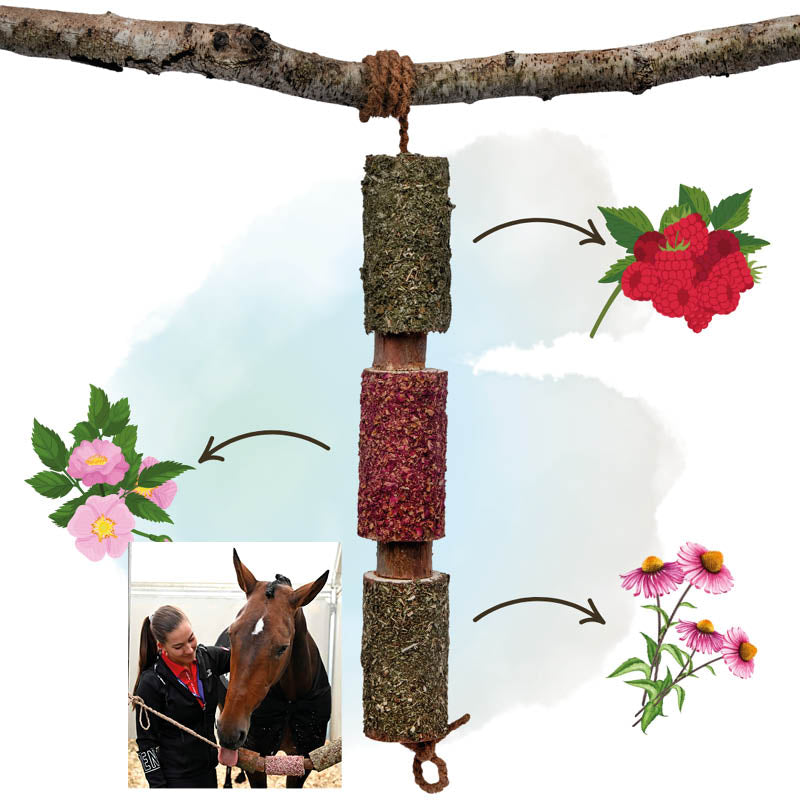 IMMUNITY - Urtebaseret trætyggelegetøj til heste