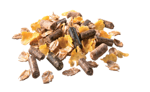 Pavo Cerevit