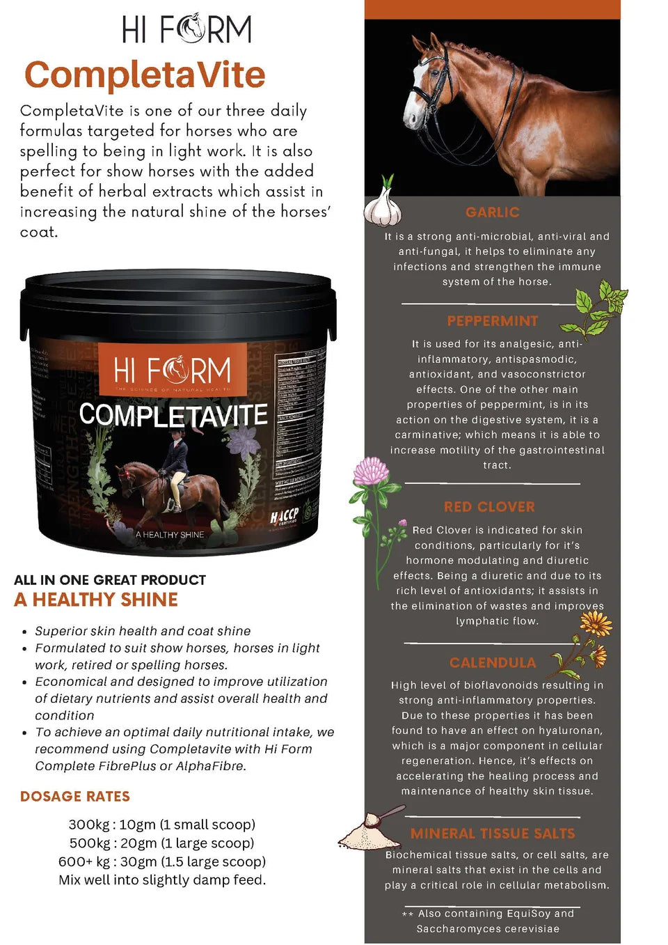 Hi Form CompletaVite