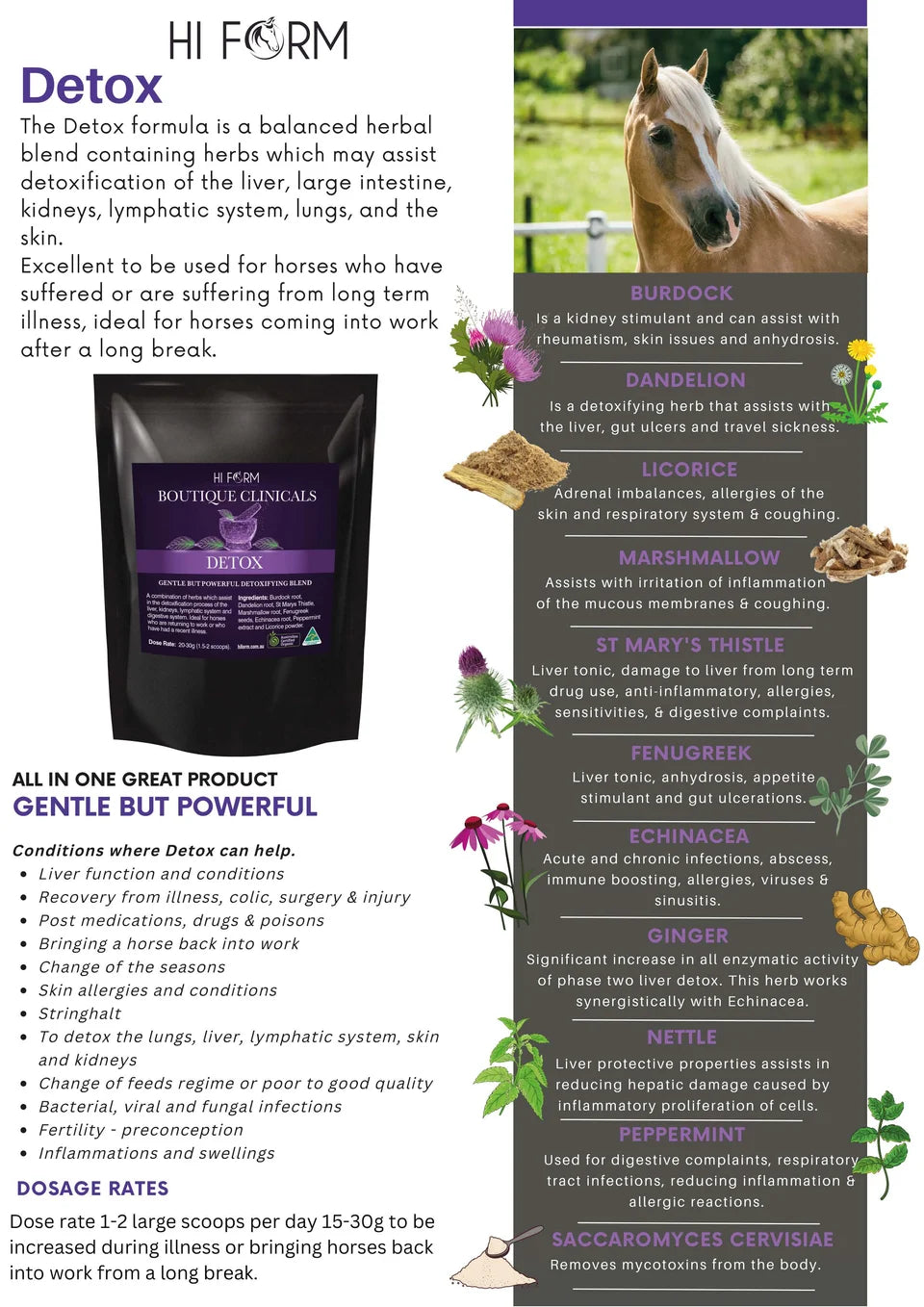 Hi Form Boutique Clinicals DeTox