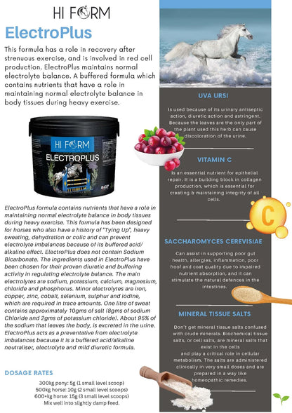 Hi Form ElectroPlus