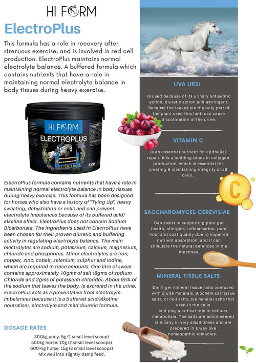 Hi Form ElectroPlus