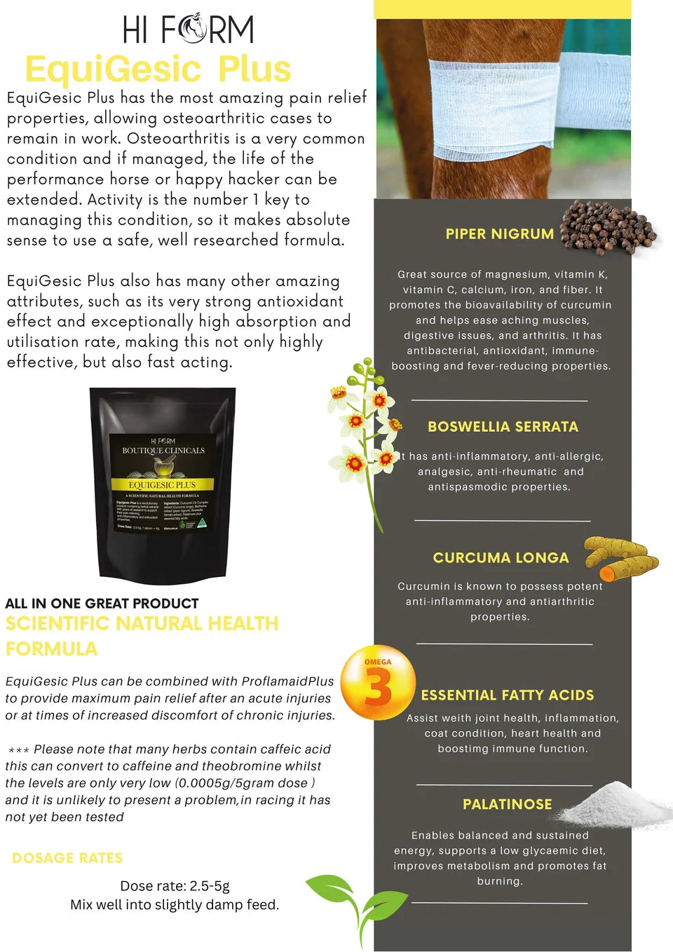 Hi Form EquiGesicPlus