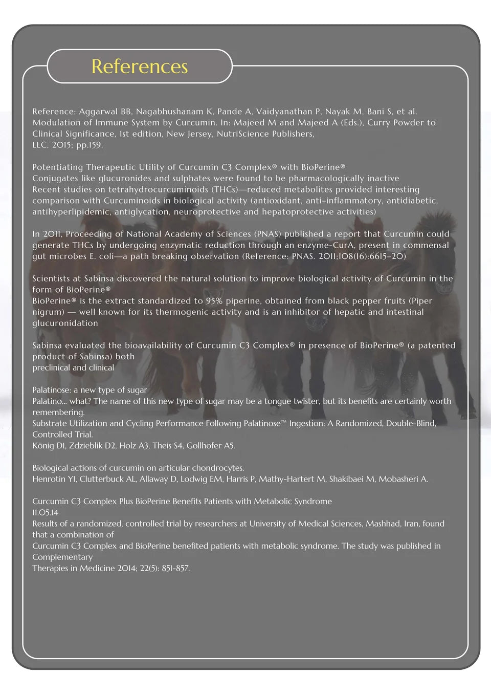 Hi Form EquiGesicPlus