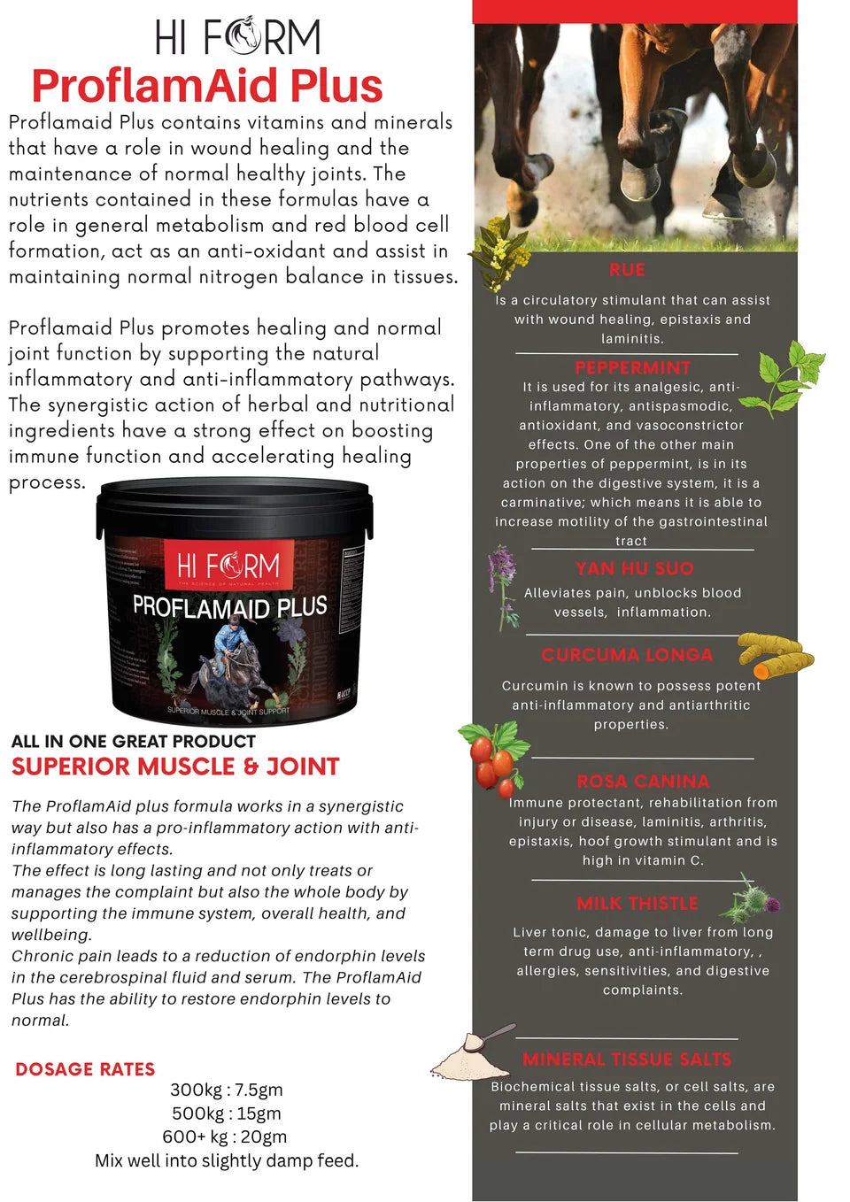 Hi Form ProflamAid Plus (Det grønne guld)